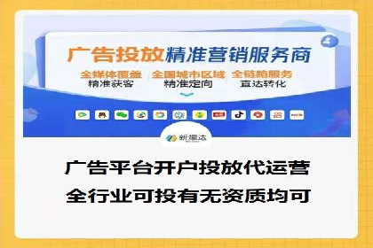 竞价广告与自然搜索的结合策略：XX网站的案例分析